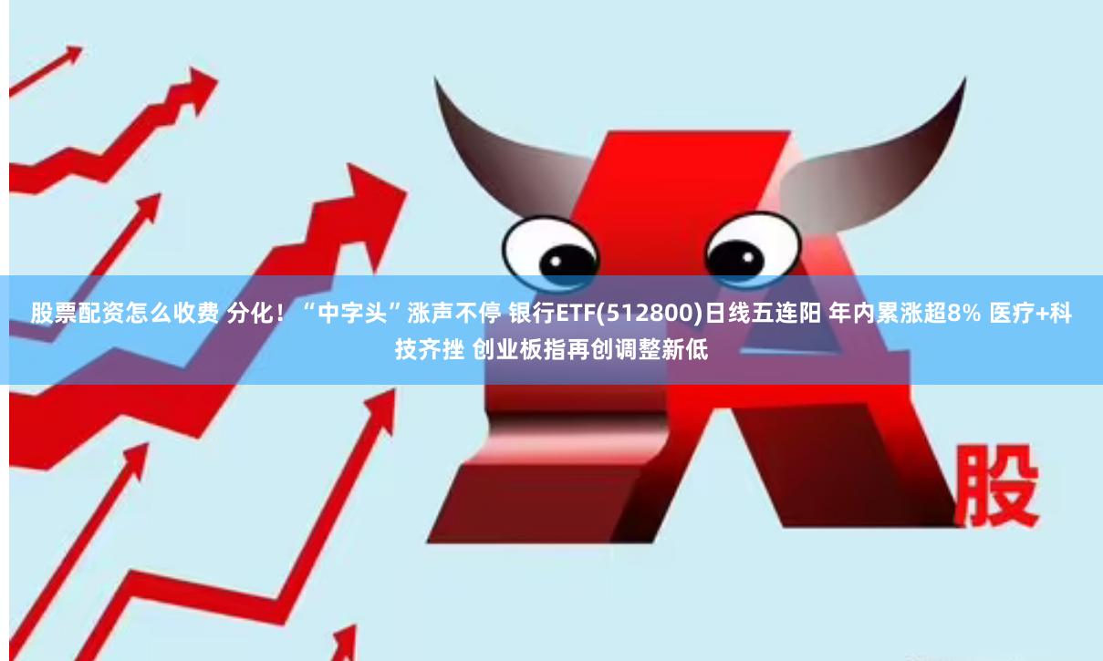 股票配资怎么收费 分化！“中字头”涨声不停 银行ETF(512800)日线五连阳 年内累涨超8% 医疗+科技齐挫 创业板指再创调整新低