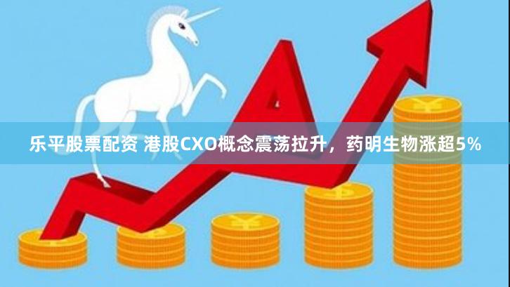 乐平股票配资 港股CXO概念震荡拉升，药明生物涨超5%