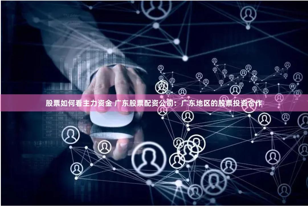 股票如何看主力资金 广东股票配资公司：广东地区的股票投资合作