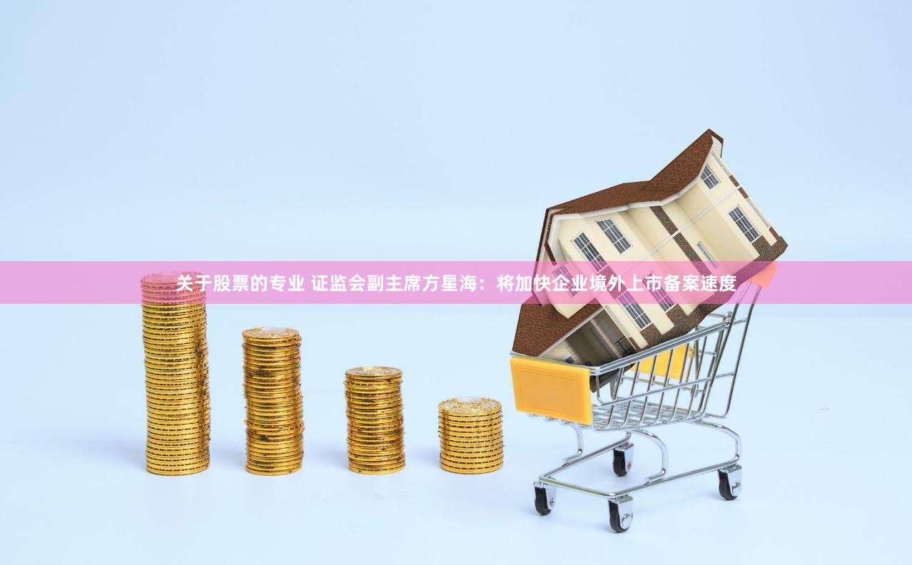 关于股票的专业 证监会副主席方星海：将加快企业境外上市备案速度