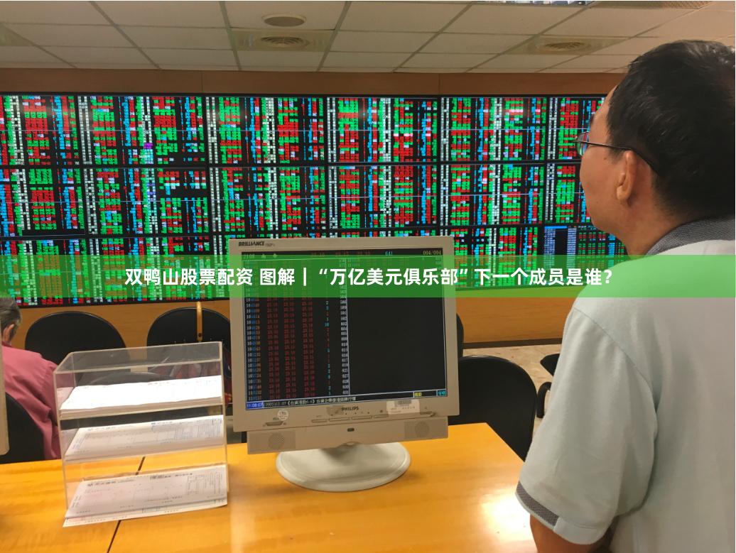 双鸭山股票配资 图解｜“万亿美元俱乐部”下一个成员是谁？