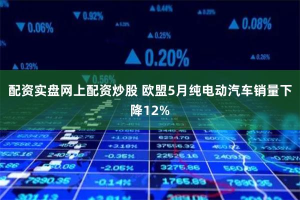 配资实盘网上配资炒股 欧盟5月纯电动汽车销量下降12%