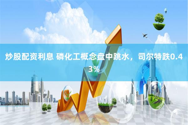 炒股配资利息 磷化工概念盘中跳水，司尔特跌0.43%