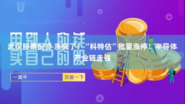 武汉股票配资 涨疯了！“科特估”批量涨停！半导体产业链走强