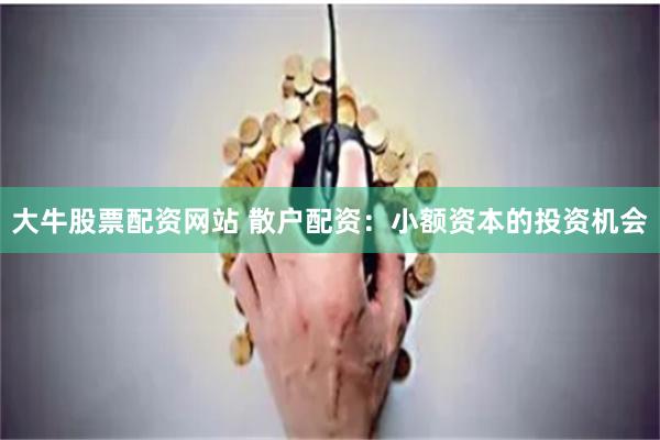 大牛股票配资网站 散户配资：小额资本的投资机会